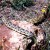 That pretty snake was a long one! That pretty snake was a long one!