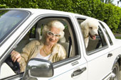 Granny and her Backseat Driver