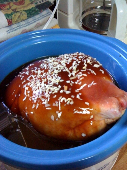 Sprinkle dried onion on top of the chicken.