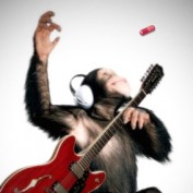 leadguitarlessons profile image