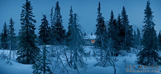arctic in winter