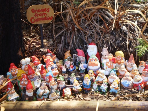 Cute gnomes at Gnomesville.
