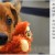 Image from the ASPCA Image from the ASPCA
