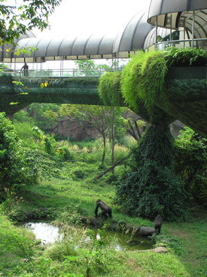 A view in Schmutzer Primate Center.