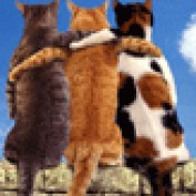 My 2 Cents profile image