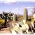 Many different forms of cactus in addition to the saguaros in the Saguaro National Park Many different forms of cactus in addition to the saguaros in the Saguaro National Park