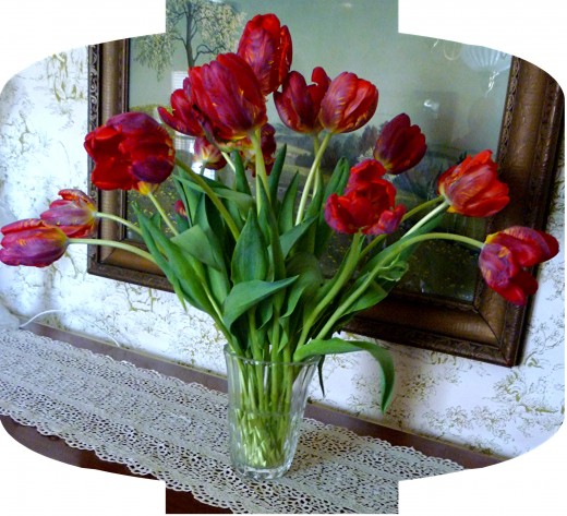 The 18 tulips in the Val Saint Lambert vase