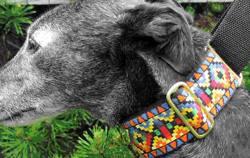 Native American Print
