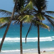 kenyhaalcocer profile image