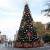 Universal Studios Christmas Holiday Pictures Universal Studios Christmas Holiday Pictures