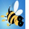 the bee knees profile image