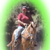 Boss Mare profile image
