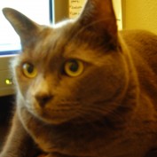 Brandy Owens profile image