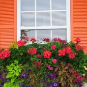 Exterior Shutters profile image