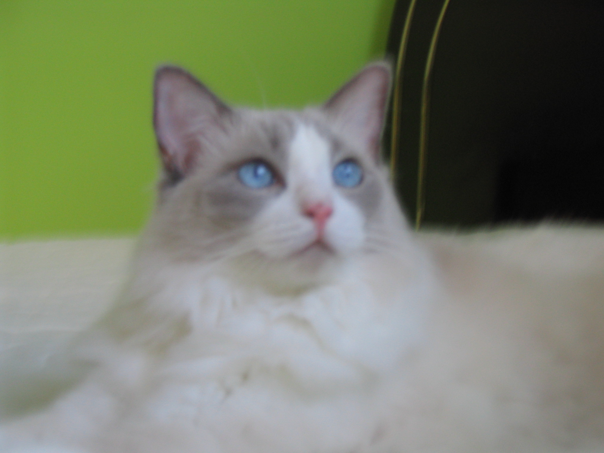 HubPages profile picture for @evita