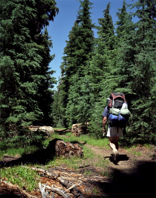 Through the forest of the southern area of the park.