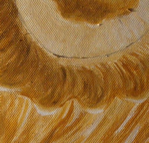 Texture painting of a shell