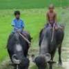 rakeshchandramond profile image