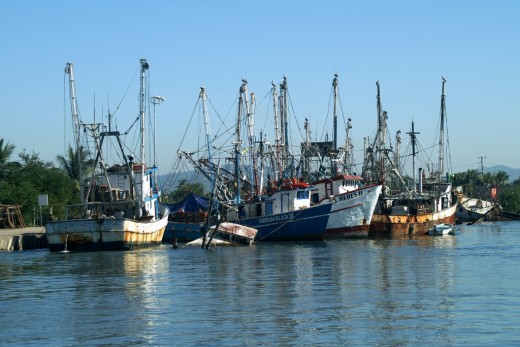 The shrimp fleet docks in San Blas - Not exactly a recreational marina, but an interesting contrast.... here, the sunken boats are the docks....