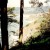 Gorgeous wild environs Gorgeous wild environs