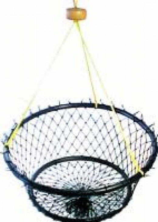 How to Catch Dungeness Crab Pots, Bait, and Strategies SkyAboveUs