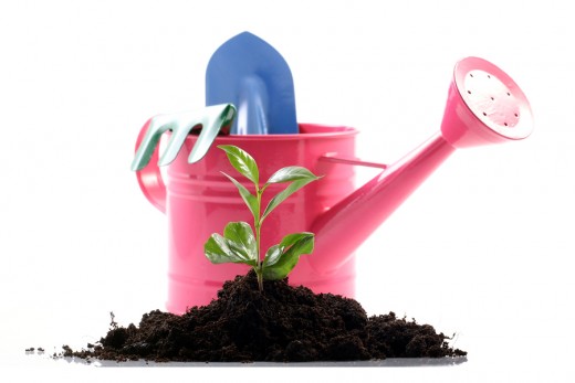 Get some exercise and fresh air, plant a herb garden!