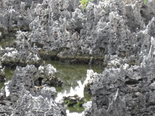 A view of the rock formations that give Hell its name