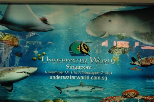 underwater world Singapore