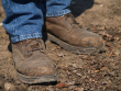 old Worn Shoes