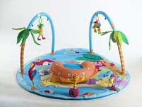 Baby Gym & Mat