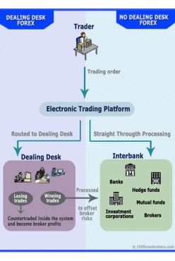 Forex brokers hub