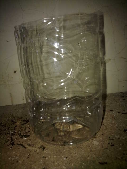 A seeling pot made of the lower part of a PET bottle