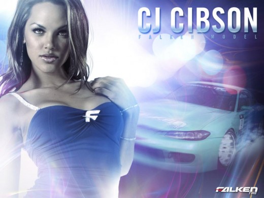 Courtesy of falkentire.com
