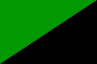 Eco-Anarchy flag