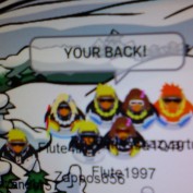 Clubpenguin Luvrs profile image