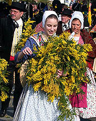 girl in the parade