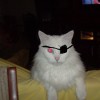 meandmygirl profile image
