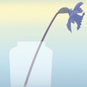 bluedaffodil profile image