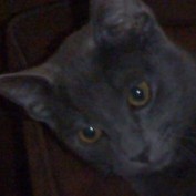 Infrared profile image