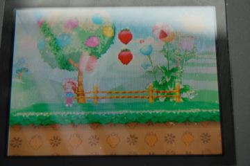 Bottom Screen, She looks okay standing still, but when you see her moving playing the game she looks like bad quality graphics, which looks horrible considering the rest of the game has much better graphics