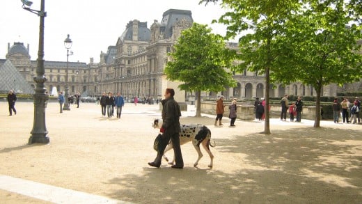 Dog walking in the Tuilleries, April 2008