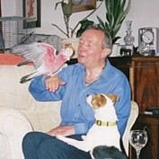 dennisdancer profile image