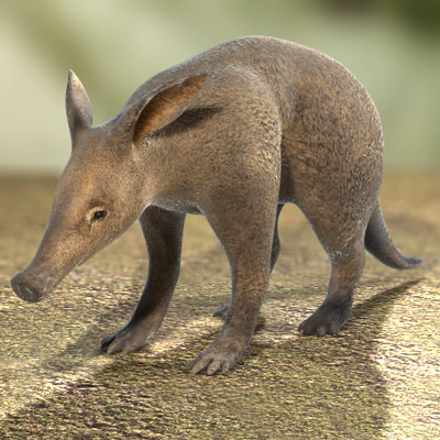 HubPages profile picture for @aardvark
