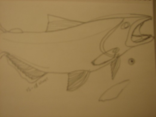 sketch of salmon on fiberboard
