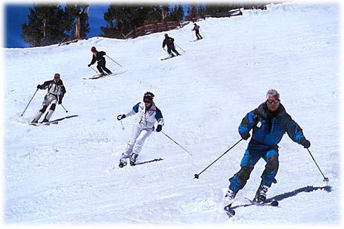 http://scavenging.files.wordpress.com/2009/04/ski-dondiego1.jpg