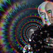 Sacredvine profile image