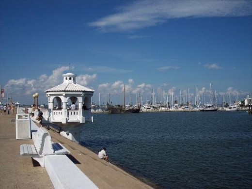 Corpus Christi Marina