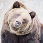 pergolaplans profile image