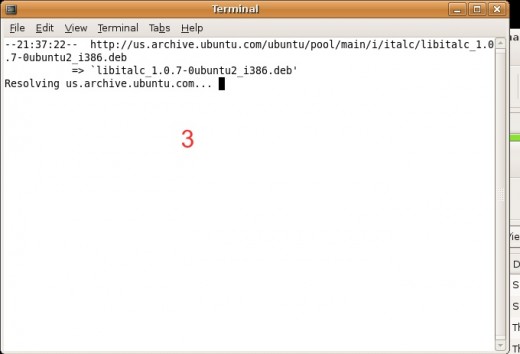 What terminal is dong during Script run