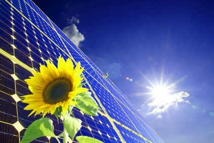 . . . Sun, Solar Panel and Sunflower . . . image credit: stockxpert Francis50